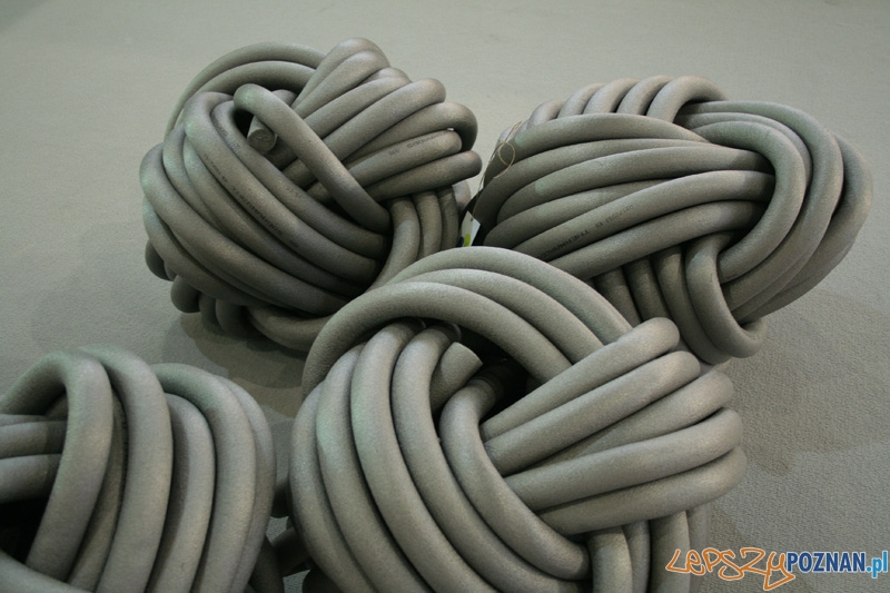 Arena Design 2012 Foto: Ewelina Gutowska Arena Design 2012 Foto: Ewelina Gutowska