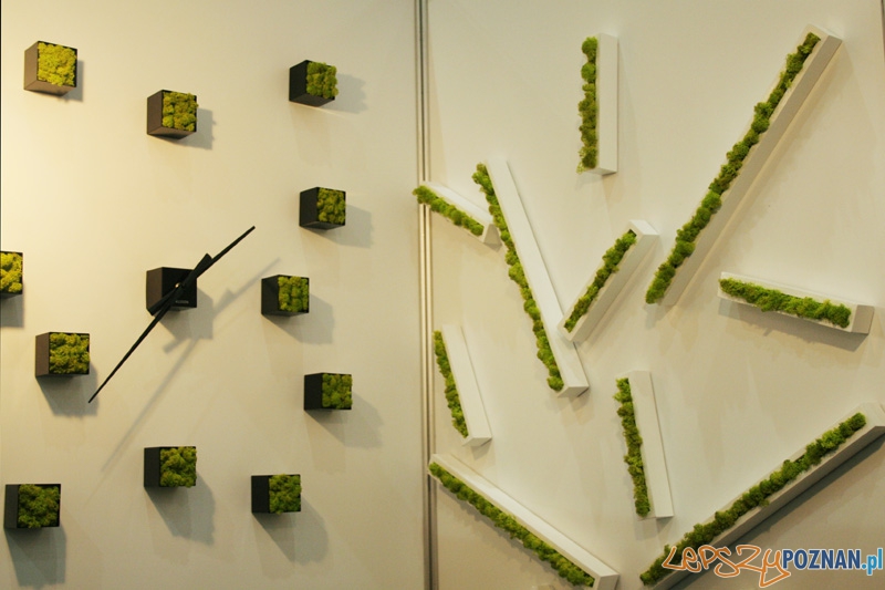 Arena Design 2012 Foto: Ewelina Gutowska Arena Design 2012 Foto: Ewelina Gutowska