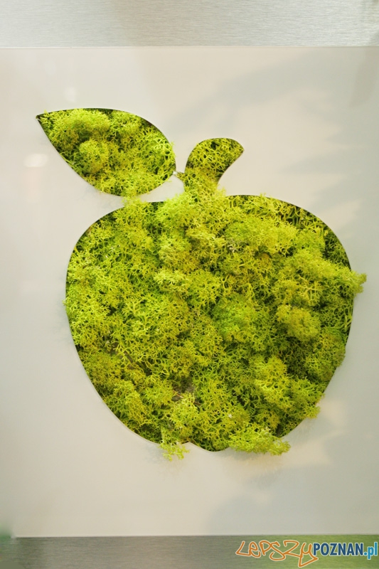 Arena Design 2012 Foto: Ewelina Gutowska Arena Design 2012 Foto: Ewelina Gutowska