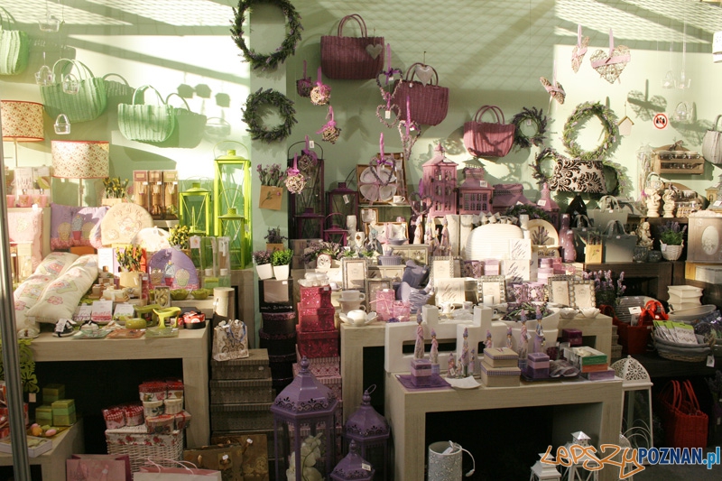 Arena Design 2012 Foto: Ewelina Gutowska Arena Design 2012 Foto: Ewelina Gutowska