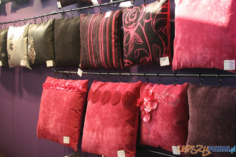 Arena Design 2012 Foto: Ewelina Gutowska Arena Design 2012 Foto: Ewelina Gutowska