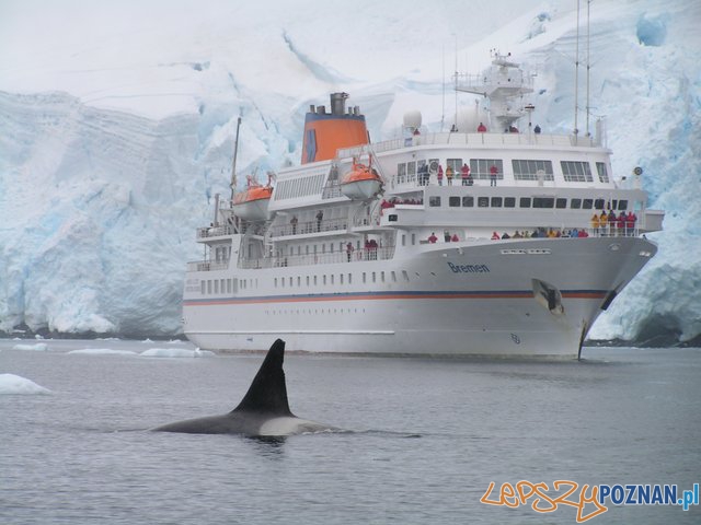 Wyprawy kapitana Henryka Wolskiego  Foto: http://henryk.best.net.pl