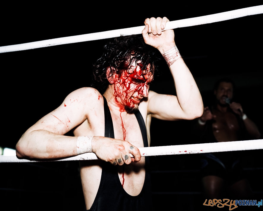 Wystawa LIVE EVENT zdjęcie prasowe Foto: Wystawa LIVE EVENT zdjęcie prasowe Foto: