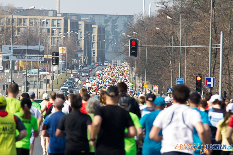 8 Maniacka Dziesiątka Foto: lepszyPOZNAN.pl / Piotr Rychter 8 Maniacka Dziesiątka Foto: lepszyPOZNAN.pl / Piotr Rychter