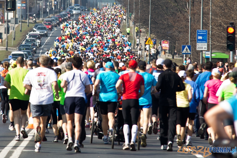 8 Maniacka Dziesiątka Foto: lepszyPOZNAN.pl / Piotr Rychter 8 Maniacka Dziesiątka Foto: lepszyPOZNAN.pl / Piotr Rychter