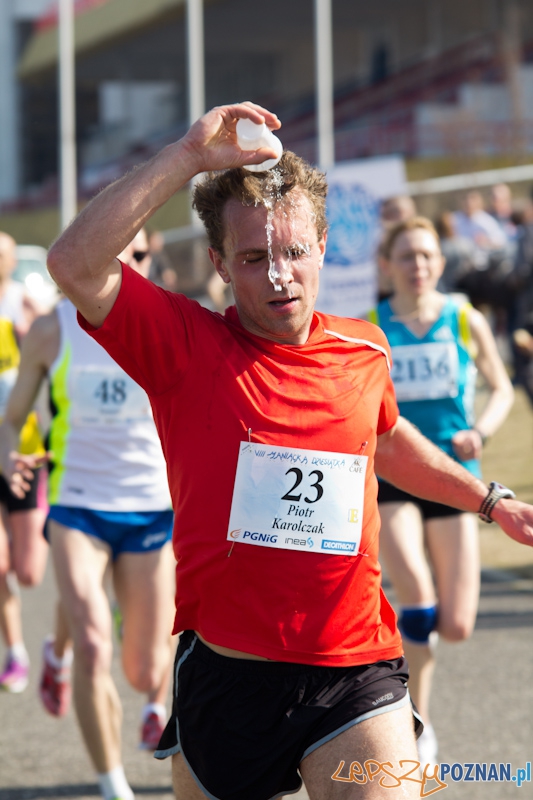 8 Maniacka Dziesiątka Foto: lepszyPOZNAN.pl / Piotr Rychter 8 Maniacka Dziesiątka Foto: lepszyPOZNAN.pl / Piotr Rychter