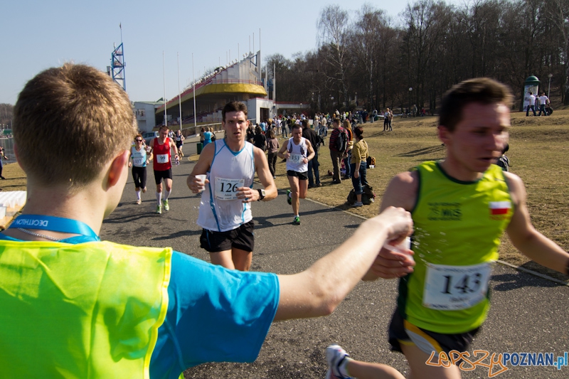 8 Maniacka Dziesiątka Foto: lepszyPOZNAN.pl / Piotr Rychter 8 Maniacka Dziesiątka Foto: lepszyPOZNAN.pl / Piotr Rychter
