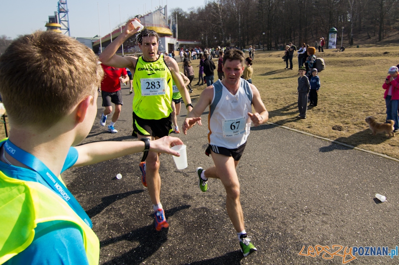 8 Maniacka Dziesiątka Foto: lepszyPOZNAN.pl / Piotr Rychter 8 Maniacka Dziesiątka Foto: lepszyPOZNAN.pl / Piotr Rychter