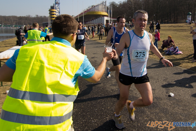 8 Maniacka Dziesiątka Foto: lepszyPOZNAN.pl / Piotr Rychter 8 Maniacka Dziesiątka Foto: lepszyPOZNAN.pl / Piotr Rychter