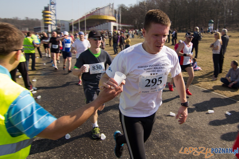 8 Maniacka Dziesiątka Foto: lepszyPOZNAN.pl / Piotr Rychter 8 Maniacka Dziesiątka Foto: lepszyPOZNAN.pl / Piotr Rychter