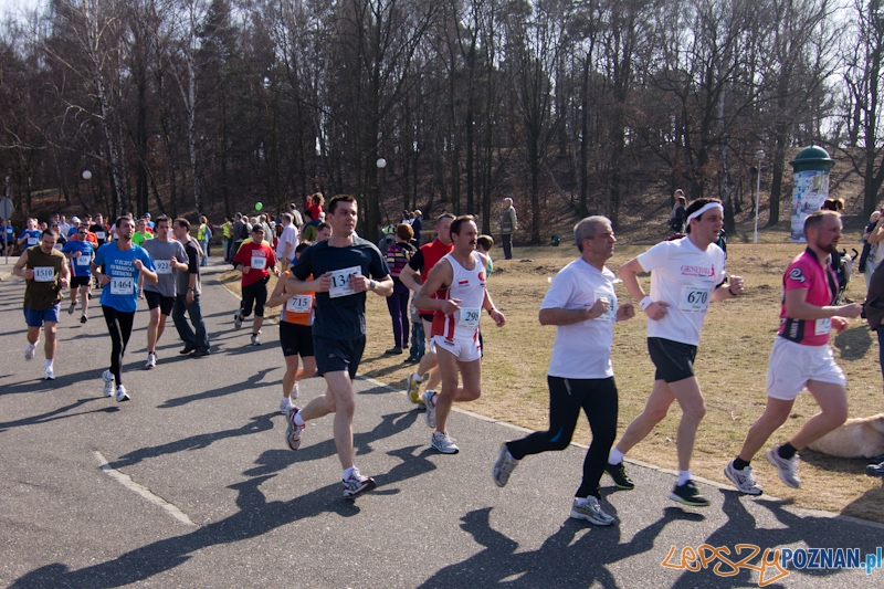 8 Maniacka Dziesiątka Foto: lepszyPOZNAN.pl / Piotr Rychter 8 Maniacka Dziesiątka Foto: lepszyPOZNAN.pl / Piotr Rychter