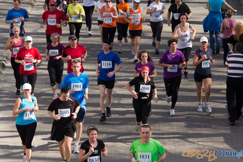 8 Maniacka Dziesiątka Foto: lepszyPOZNAN.pl / Piotr Rychter 8 Maniacka Dziesiątka Foto: lepszyPOZNAN.pl / Piotr Rychter
