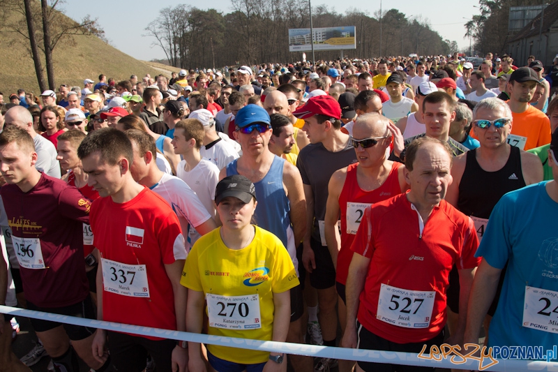 8 Maniacka Dziesiątka Foto: lepszyPOZNAN.pl / Piotr Rychter 8 Maniacka Dziesiątka Foto: lepszyPOZNAN.pl / Piotr Rychter