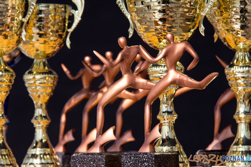 8 Maniacka Dziesiątka Foto: lepszyPOZNAN.pl / Piotr Rychter 8 Maniacka Dziesiątka Foto: lepszyPOZNAN.pl / Piotr Rychter