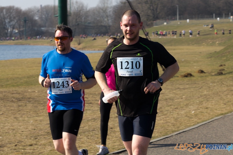 8 Maniacka Dziesiątka Foto: lepszyPOZNAN.pl / Piotr Rychter 8 Maniacka Dziesiątka Foto: lepszyPOZNAN.pl / Piotr Rychter