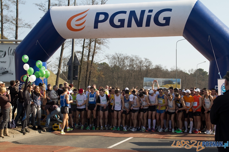 8 Maniacka Dziesiątka Foto: lepszyPOZNAN.pl / Piotr Rychter 8 Maniacka Dziesiątka Foto: lepszyPOZNAN.pl / Piotr Rychter