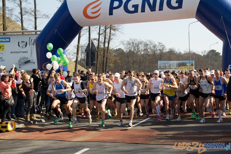 8 Maniacka Dziesiątka Foto: lepszyPOZNAN.pl / Piotr Rychter 8 Maniacka Dziesiątka Foto: lepszyPOZNAN.pl / Piotr Rychter