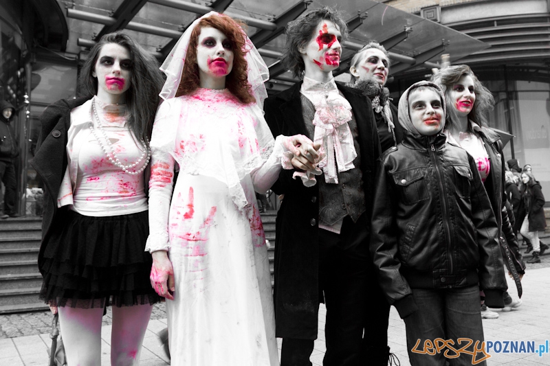 Pyrkon wiecznie żywy! Foto: lepszyPOZNAN.pl / Piotr Rychter Pyrkon wiecznie żywy! Foto: lepszyPOZNAN.pl / Piotr Rychter