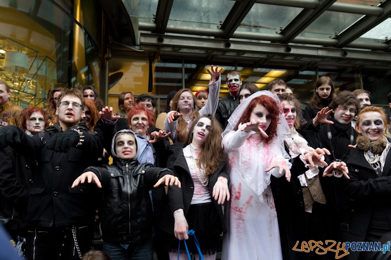 Pyrkon wiecznie żywy! Foto: lepszyPOZNAN.pl / Piotr Rychter Pyrkon wiecznie żywy! Foto: lepszyPOZNAN.pl / Piotr Rychter