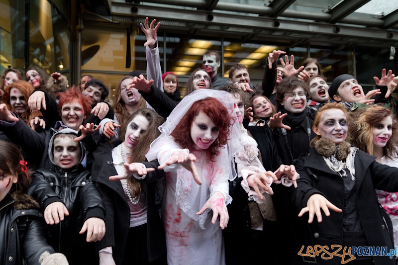 Pyrkon wiecznie żywy! Foto: lepszyPOZNAN.pl / Piotr Rychter Pyrkon wiecznie żywy! Foto: lepszyPOZNAN.pl / Piotr Rychter