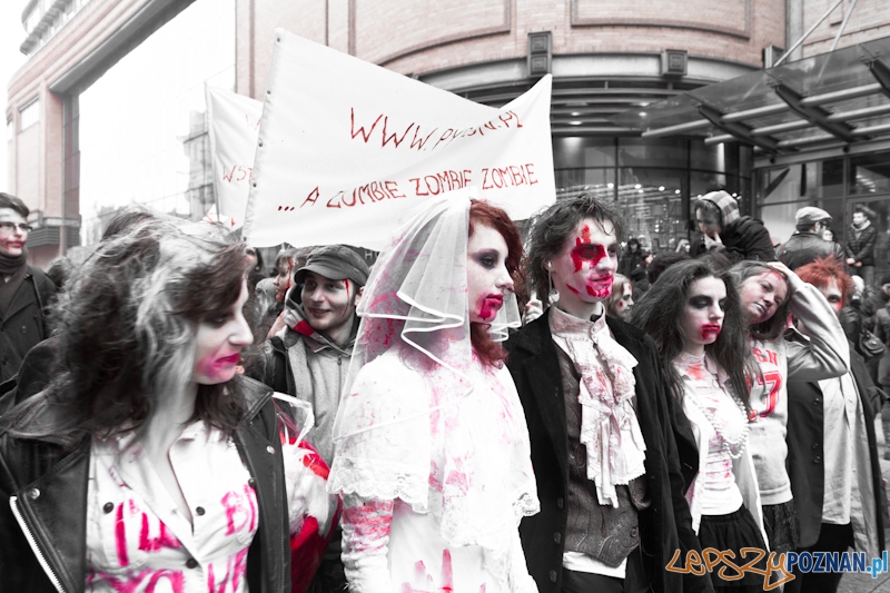 Pyrkon wiecznie żywy! Foto: lepszyPOZNAN.pl / Piotr Rychter Pyrkon wiecznie żywy! Foto: lepszyPOZNAN.pl / Piotr Rychter