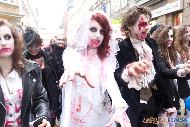 Pyrkon wiecznie żywy! Foto: lepszyPOZNAN.pl / Piotr Rychter Pyrkon wiecznie żywy! Foto: lepszyPOZNAN.pl / Piotr Rychter