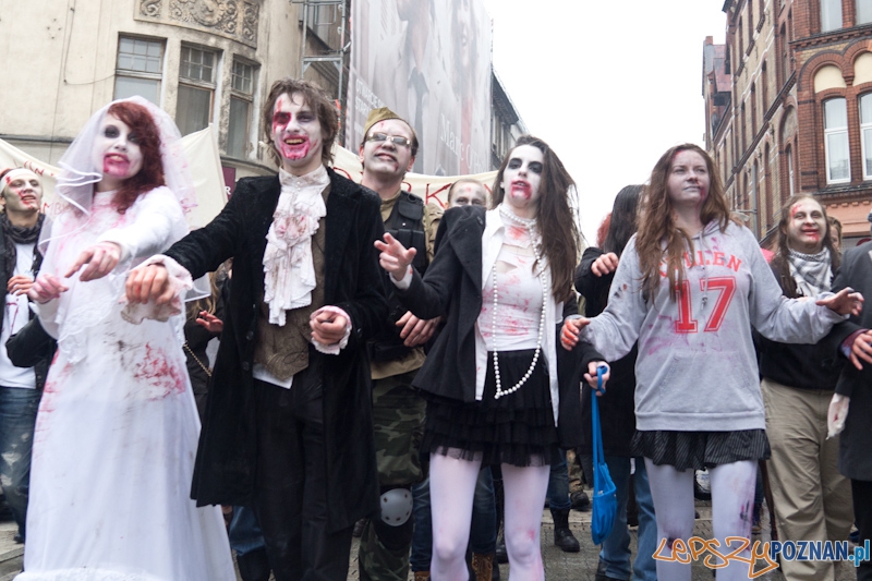 Pyrkon wiecznie żywy! Foto: lepszyPOZNAN.pl / Piotr Rychter Pyrkon wiecznie żywy! Foto: lepszyPOZNAN.pl / Piotr Rychter