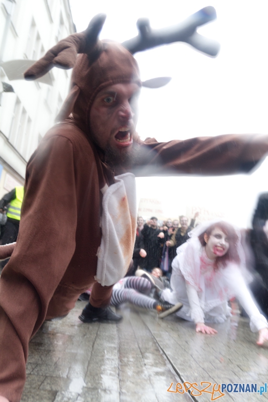 Pyrkon wiecznie żywy! Foto: lepszyPOZNAN.pl / Piotr Rychter Pyrkon wiecznie żywy! Foto: lepszyPOZNAN.pl / Piotr Rychter