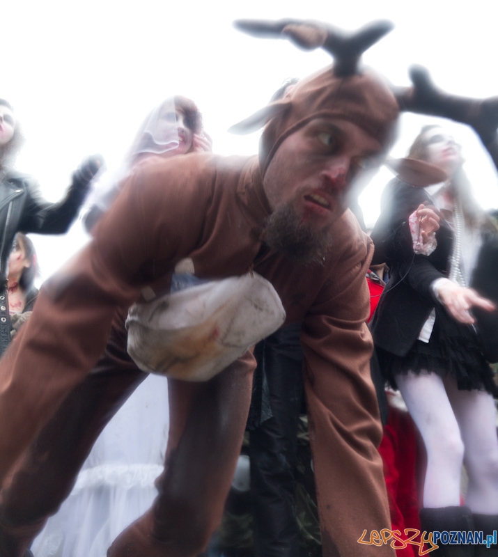 Pyrkon wiecznie żywy! Foto: lepszyPOZNAN.pl / Piotr Rychter Pyrkon wiecznie żywy! Foto: lepszyPOZNAN.pl / Piotr Rychter