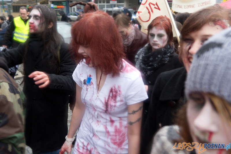 Pyrkon wiecznie żywy! Foto: lepszyPOZNAN.pl / Piotr Rychter Pyrkon wiecznie żywy! Foto: lepszyPOZNAN.pl / Piotr Rychter