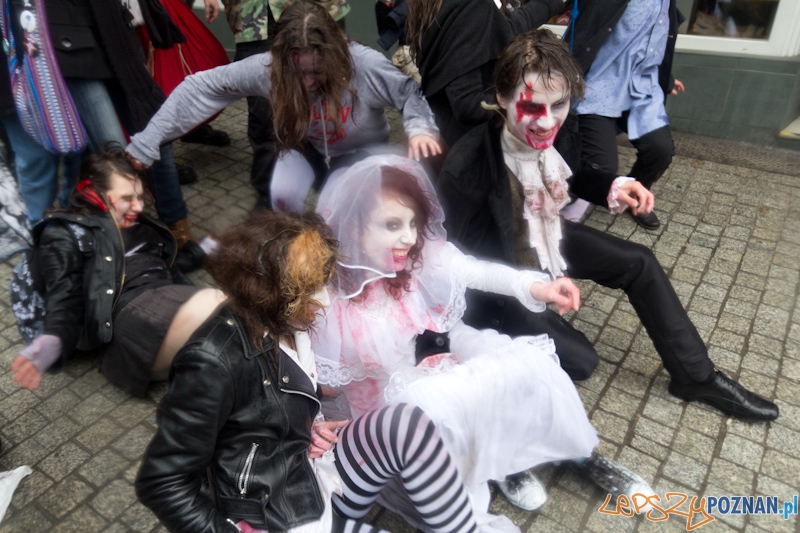 Pyrkon wiecznie żywy! Foto: lepszyPOZNAN.pl / Piotr Rychter Pyrkon wiecznie żywy! Foto: lepszyPOZNAN.pl / Piotr Rychter