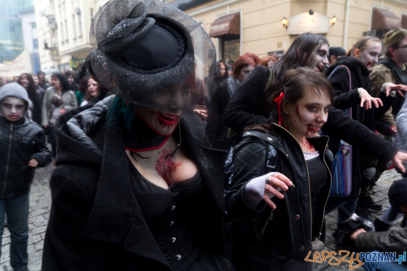 Pyrkon wiecznie żywy! Foto: lepszyPOZNAN.pl / Piotr Rychter Pyrkon wiecznie żywy! Foto: lepszyPOZNAN.pl / Piotr Rychter