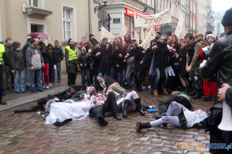 Pyrkon wiecznie żywy! Foto: lepszyPOZNAN.pl / Piotr Rychter Pyrkon wiecznie żywy! Foto: lepszyPOZNAN.pl / Piotr Rychter