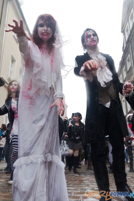 Pyrkon wiecznie żywy! Foto: lepszyPOZNAN.pl / Piotr Rychter Pyrkon wiecznie żywy! Foto: lepszyPOZNAN.pl / Piotr Rychter