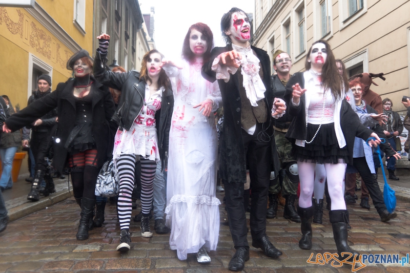 Pyrkon wiecznie żywy! Foto: lepszyPOZNAN.pl / Piotr Rychter Pyrkon wiecznie żywy! Foto: lepszyPOZNAN.pl / Piotr Rychter