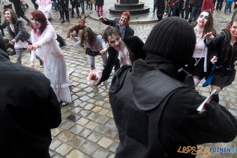Pyrkon wiecznie żywy! Foto: lepszyPOZNAN.pl / Piotr Rychter Pyrkon wiecznie żywy! Foto: lepszyPOZNAN.pl / Piotr Rychter