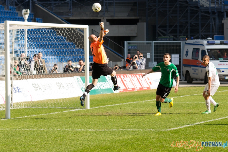 Warta Poznań - KS Polkowice Foto: lepszyPOZNAN.pl / Piotr Rychter Warta Poznań - KS Polkowice Foto: lepszyPOZNAN.pl / Piotr Rychter