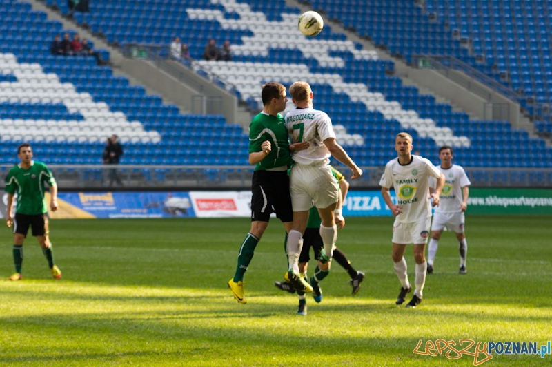 Warta Poznań - KS Polkowice Foto: lepszyPOZNAN.pl / Piotr Rychter Warta Poznań - KS Polkowice Foto: lepszyPOZNAN.pl / Piotr Rychter