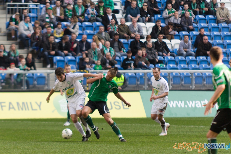 Warta Poznań - KS Polkowice Foto: lepszyPOZNAN.pl / Piotr Rychter Warta Poznań - KS Polkowice Foto: lepszyPOZNAN.pl / Piotr Rychter