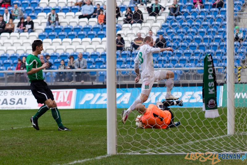 Warta Poznań - KS Polkowice Foto: lepszyPOZNAN.pl / Piotr Rychter Warta Poznań - KS Polkowice Foto: lepszyPOZNAN.pl / Piotr Rychter