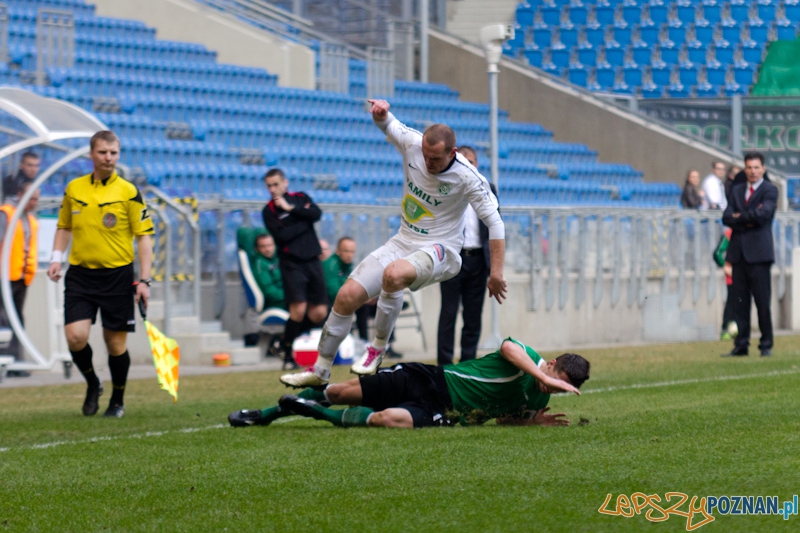 Warta Poznań - KS Polkowice Foto: lepszyPOZNAN.pl / Piotr Rychter Warta Poznań - KS Polkowice Foto: lepszyPOZNAN.pl / Piotr Rychter