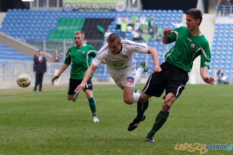 Warta Poznań - KS Polkowice Foto: lepszyPOZNAN.pl / Piotr Rychter Warta Poznań - KS Polkowice Foto: lepszyPOZNAN.pl / Piotr Rychter