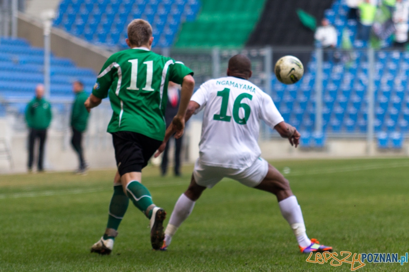 Warta Poznań - KS Polkowice Foto: lepszyPOZNAN.pl / Piotr Rychter Warta Poznań - KS Polkowice Foto: lepszyPOZNAN.pl / Piotr Rychter