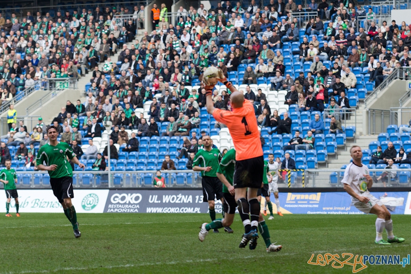 Warta Poznań - KS Polkowice Foto: lepszyPOZNAN.pl / Piotr Rychter Warta Poznań - KS Polkowice Foto: lepszyPOZNAN.pl / Piotr Rychter