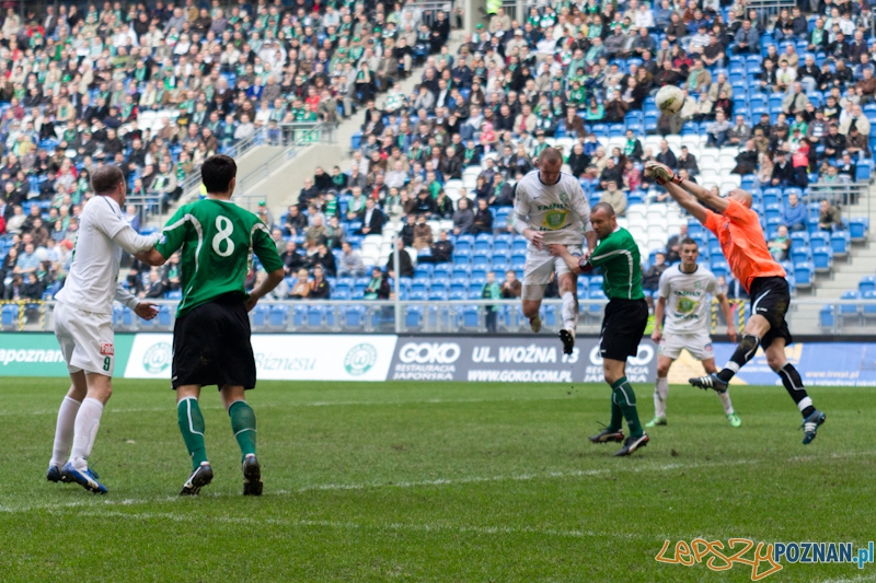 Warta Poznań - KS Polkowice Foto: lepszyPOZNAN.pl / Piotr Rychter Warta Poznań - KS Polkowice Foto: lepszyPOZNAN.pl / Piotr Rychter