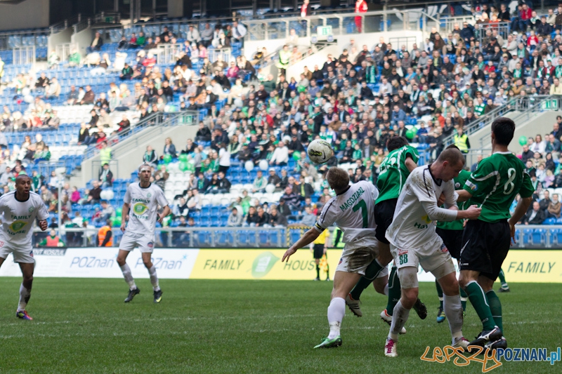 Warta Poznań - KS Polkowice Foto: lepszyPOZNAN.pl / Piotr Rychter Warta Poznań - KS Polkowice Foto: lepszyPOZNAN.pl / Piotr Rychter
