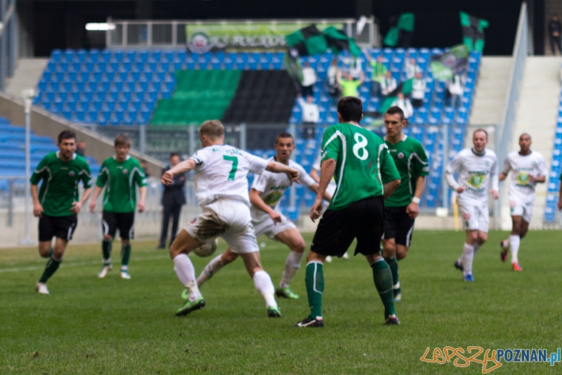 Warta Poznań - KS Polkowice Foto: lepszyPOZNAN.pl / Piotr Rychter Warta Poznań - KS Polkowice Foto: lepszyPOZNAN.pl / Piotr Rychter