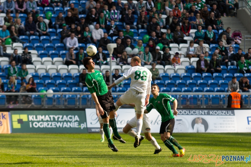 Warta Poznań - KS Polkowice Foto: lepszyPOZNAN.pl / Piotr Rychter Warta Poznań - KS Polkowice Foto: lepszyPOZNAN.pl / Piotr Rychter