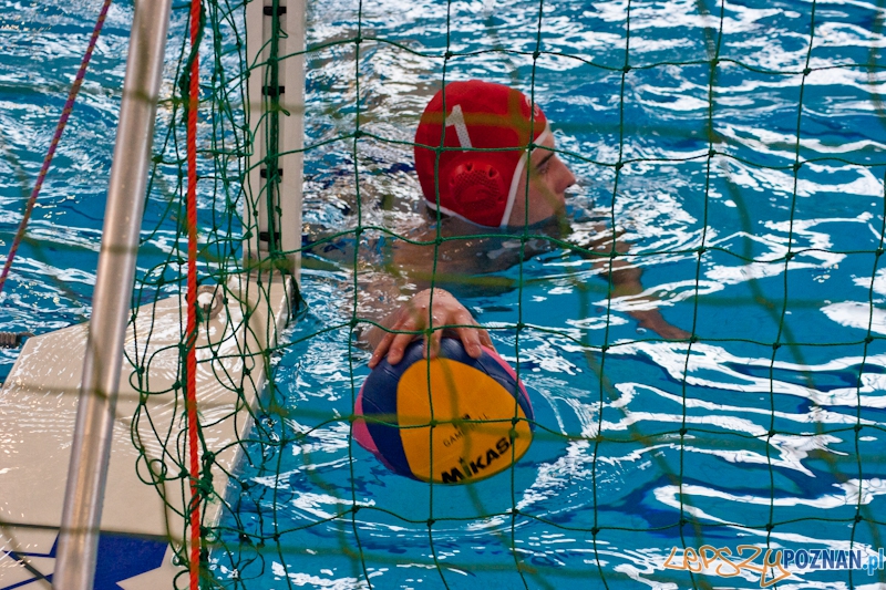 Alstal Waterpolo Poznan - LSTW UŁ Łódź Foto: LepszyPOZNAN.pl / Paweł Rychter Alstal Waterpolo Poznan - LSTW UŁ Łódź Foto: LepszyPOZNAN.pl / Paweł Rychter