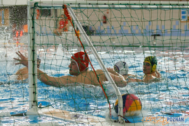 Alstal Waterpolo Poznan - LSTW UŁ Łódź Foto: Ewelina Gutowska Alstal Waterpolo Poznan - LSTW UŁ Łódź Foto: Ewelina Gutowska